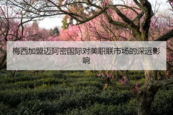梅西加盟迈阿密国际对美职联市场的深远影响